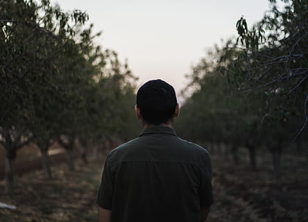 trees, man, model, nature, guy, dude, boy, stand, hope, lost HD wallpaper