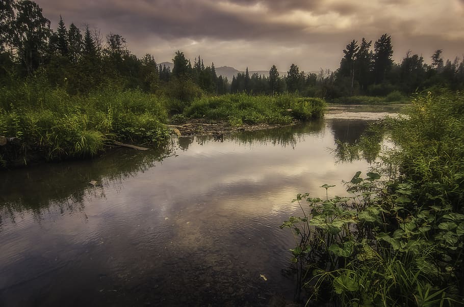 nature, landscape, river, forest, fog, foggy, mountains, discovery, HD wallpaper