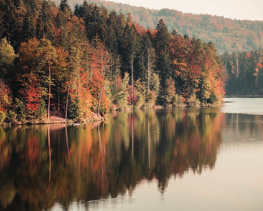 nature, lake, mirror, reflection, trees, autumn, fall, hiking HD wallpaper
