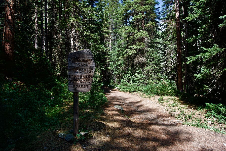 collegiate peaks, united states, national forest, colorado