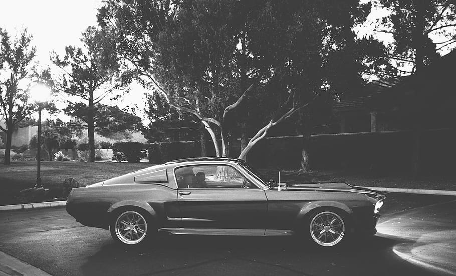 car, mustang, tree, motor vehicle, mode of transportation, land vehicle HD wallpaper