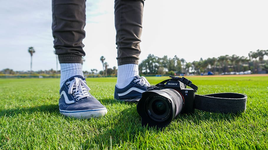 vans, camera, feet, grass, sony, low section, human leg, shoe HD wallpaper