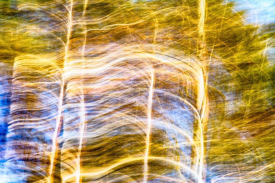 ornament, pattern, fractal, art, nature, blur, colorful, motion HD wallpaper