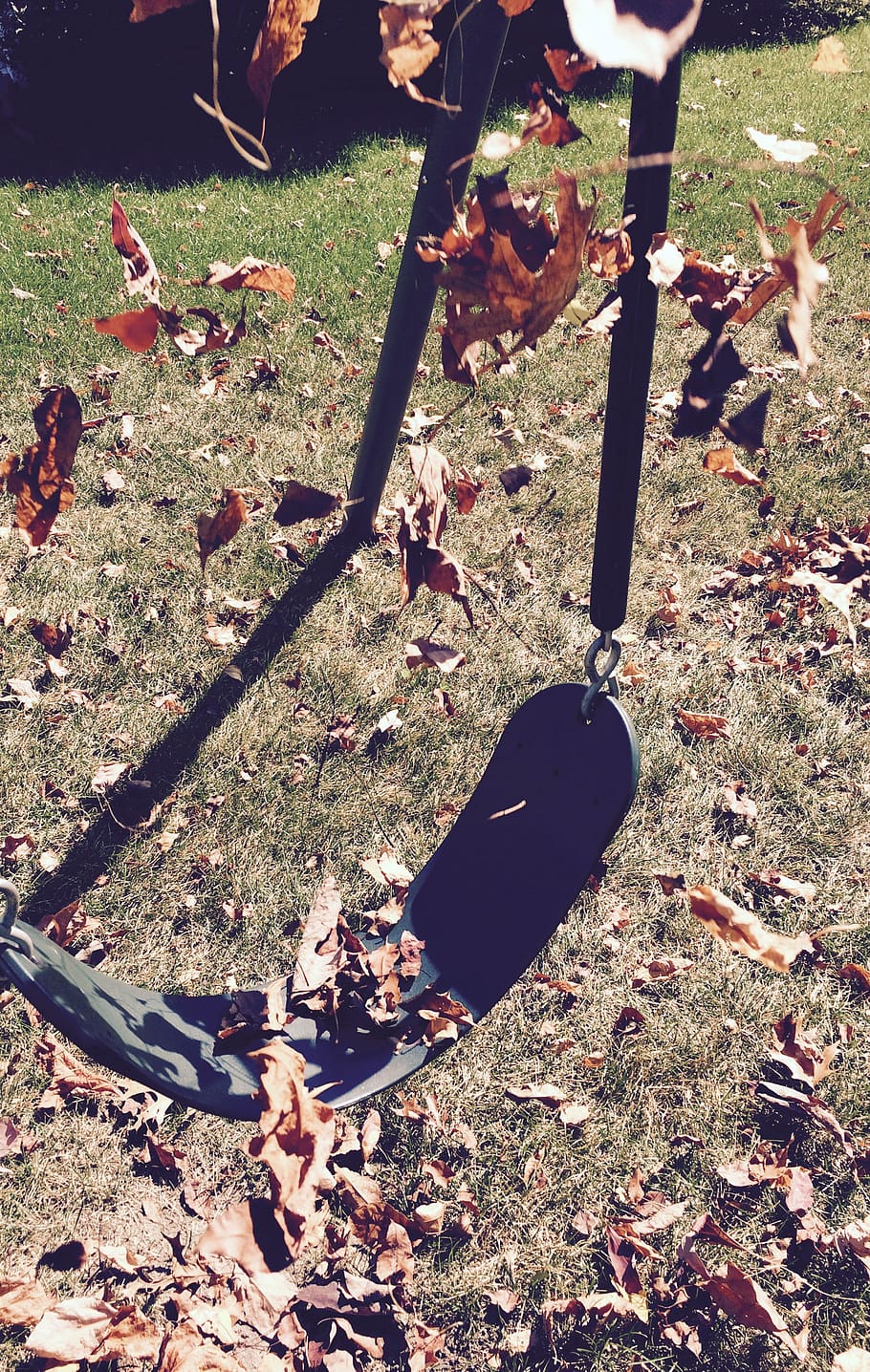 swing, leaves, fall, sunlight, nature, day, high angle view HD wallpaper
