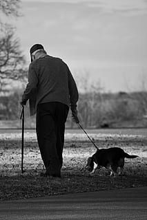 dog, old man, walk, elderly, pet, mammal, canine, one animal HD wallpaper
