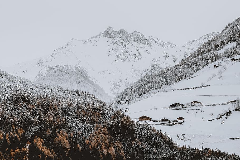 Photo of Snow Covered Mountain Near Forest, cold, daylight, zing HD wallpaper