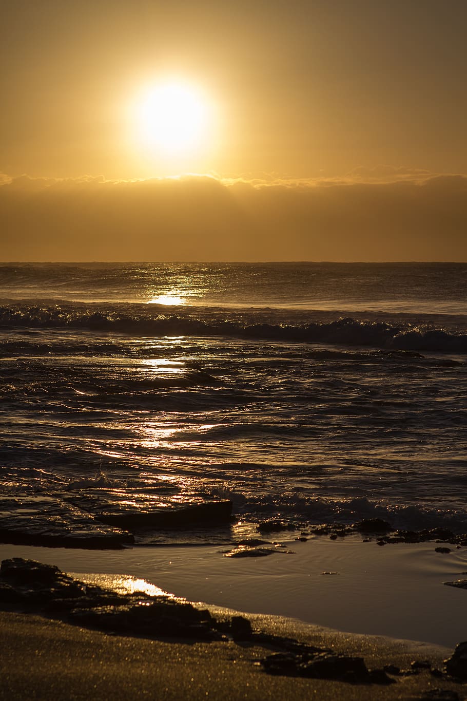 australia, turimetta beach, sea, ocean, gold, golden hour, sunrise, HD wallpaper