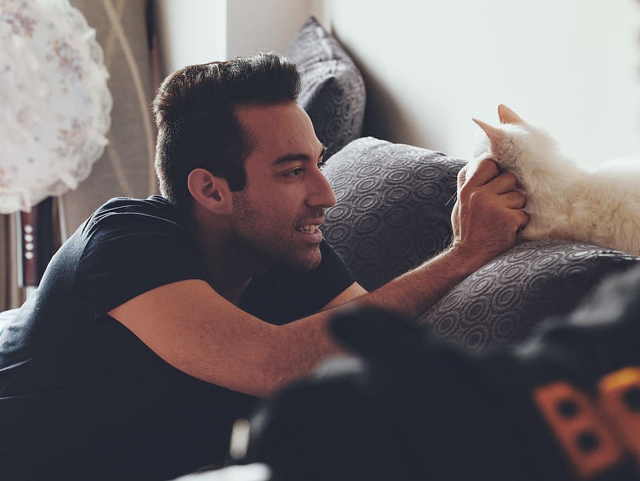 man fetching cats face, furniture, couch, person, human, pet HD wallpaper