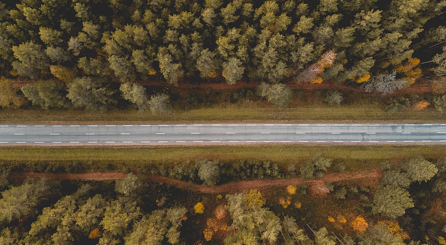 road, forest, green, nature, landscape, path, outdoor, tree HD wallpaper