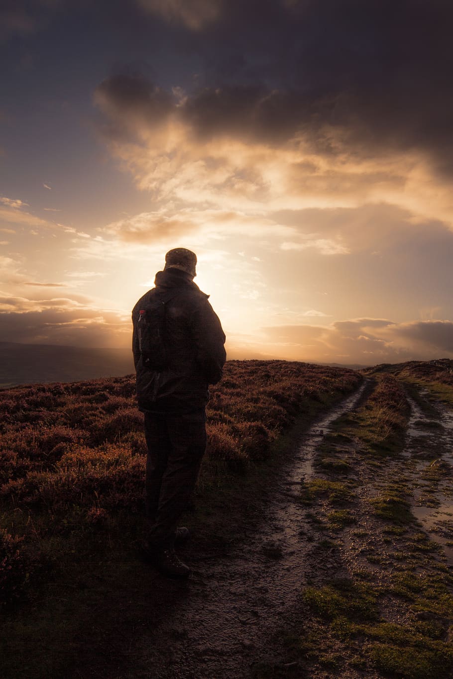 Man Standing in Muddy Field Path., backlit, evening, grass, landscape HD wallpaper