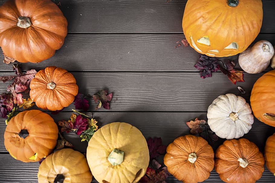 HD wallpaper: halloween, lantern, october, orange, season, traditional ...