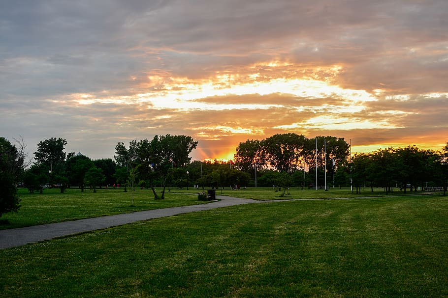 sky, centralpark, meadow, nature, vacation, trees, environment, HD wallpaper