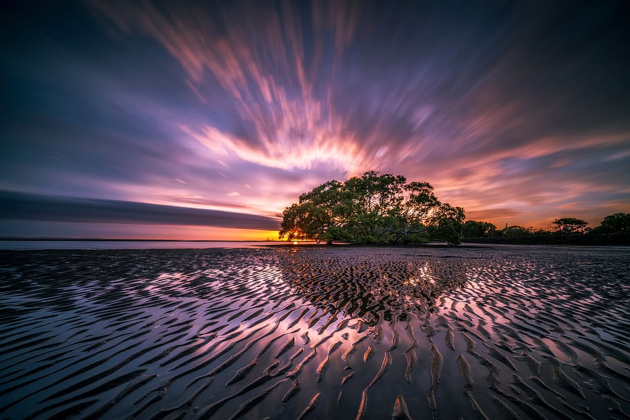 Green Leafed Trees Near Body of Water, beach, cloud formation HD wallpaper