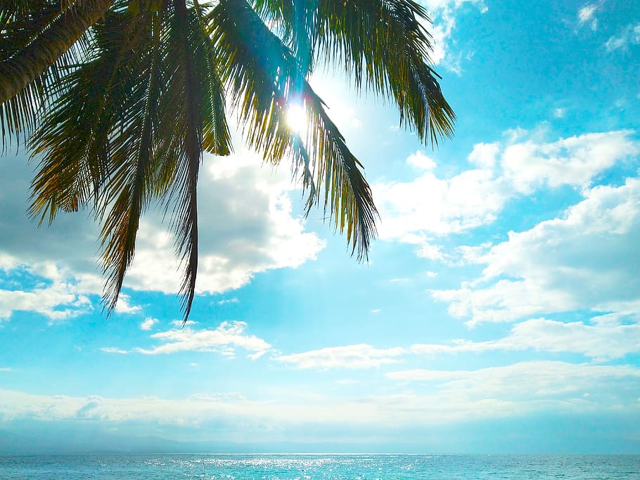 summer, beach side, sea, nature, travel, blue, landscape, tropical, HD wallpaper