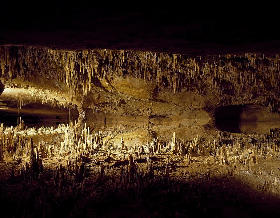 Bijou Phillips, Rashida Jones and Carly Margolis during Cavern... News  Photo - Getty Images