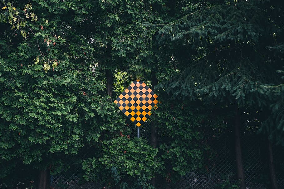 Dead End signboard surrounded by trees in the forest, black, bright HD wallpaper