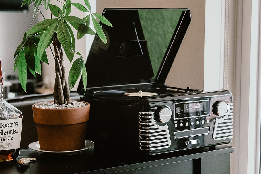 plant, electronics, pot, screen, display, monitor, leaf, radio HD wallpaper