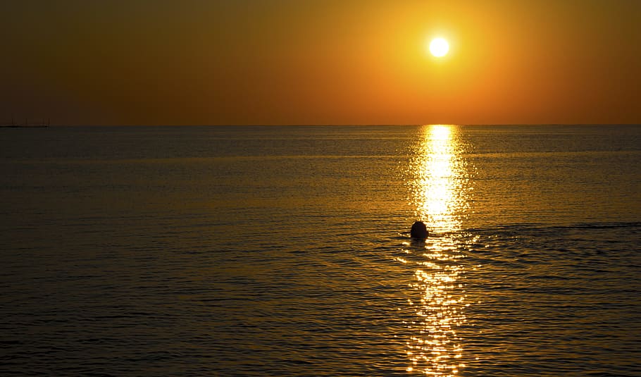sea, ocean, water, sunset, sunrise, people, swimming, horizon HD wallpaper