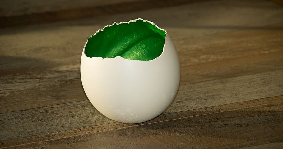 diy, shell, eggshell, gold, green blue, easter, handmade, concrete HD wallpaper