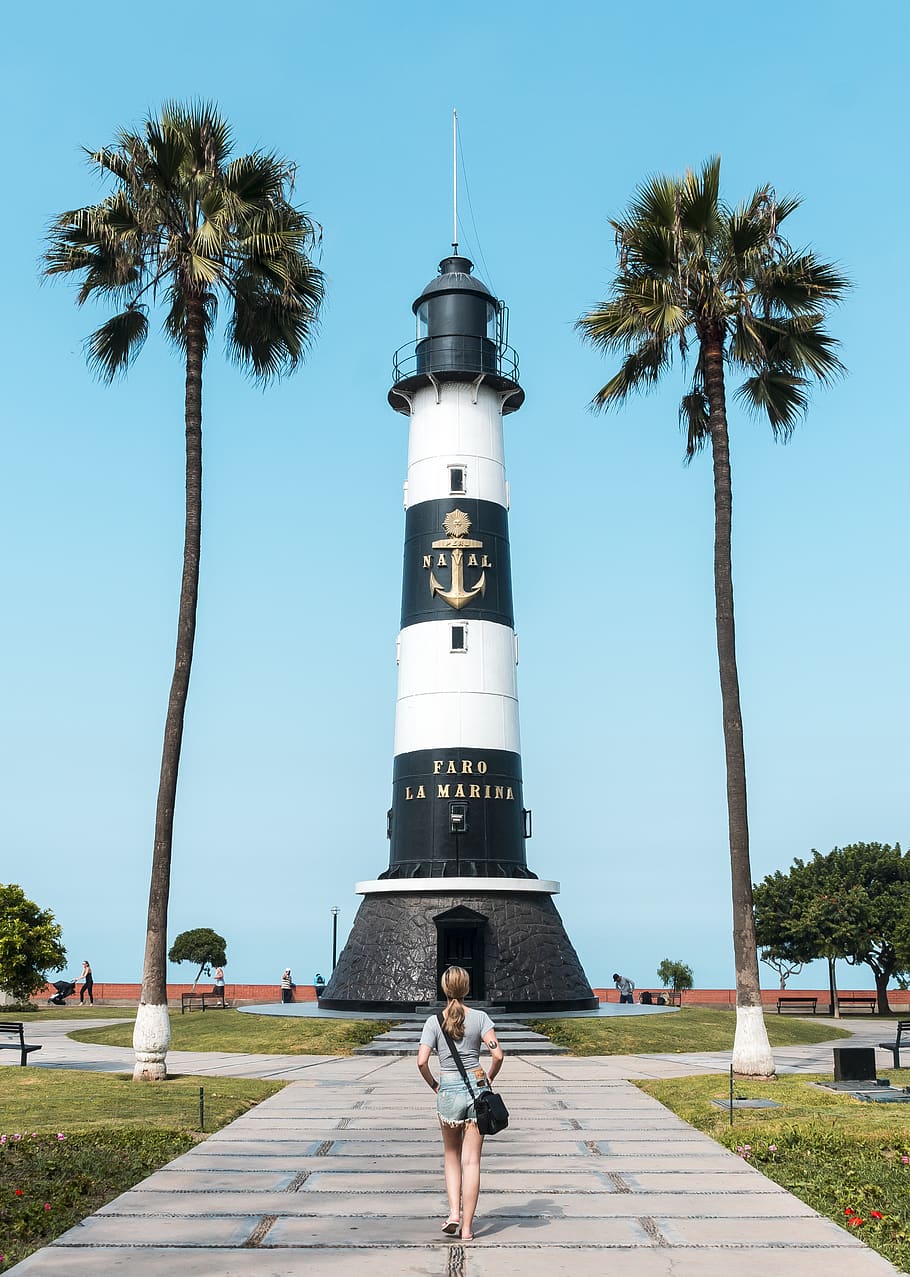 white and black lighthouse, tree, tropical climate, palm tree HD wallpaper