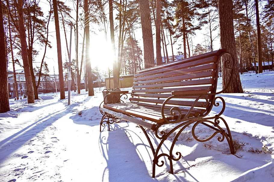 bench, morning, winter, snow, nature, trees, shop, park, cold temperature HD wallpaper