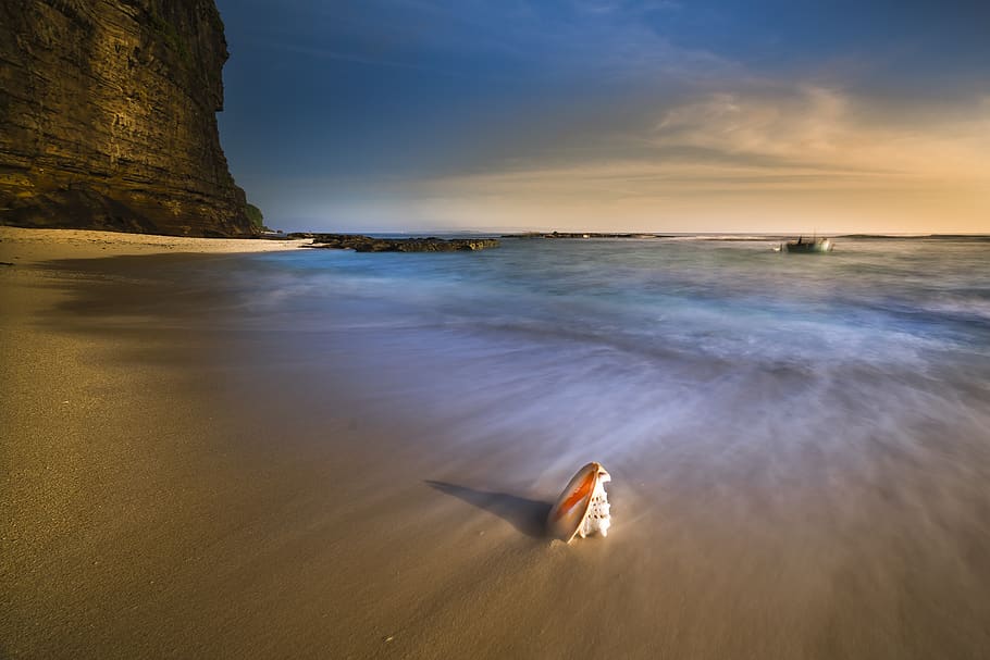 Shell On Shore , beach, nature, ocean, sand, sea, seascape, seashore HD wallpaper