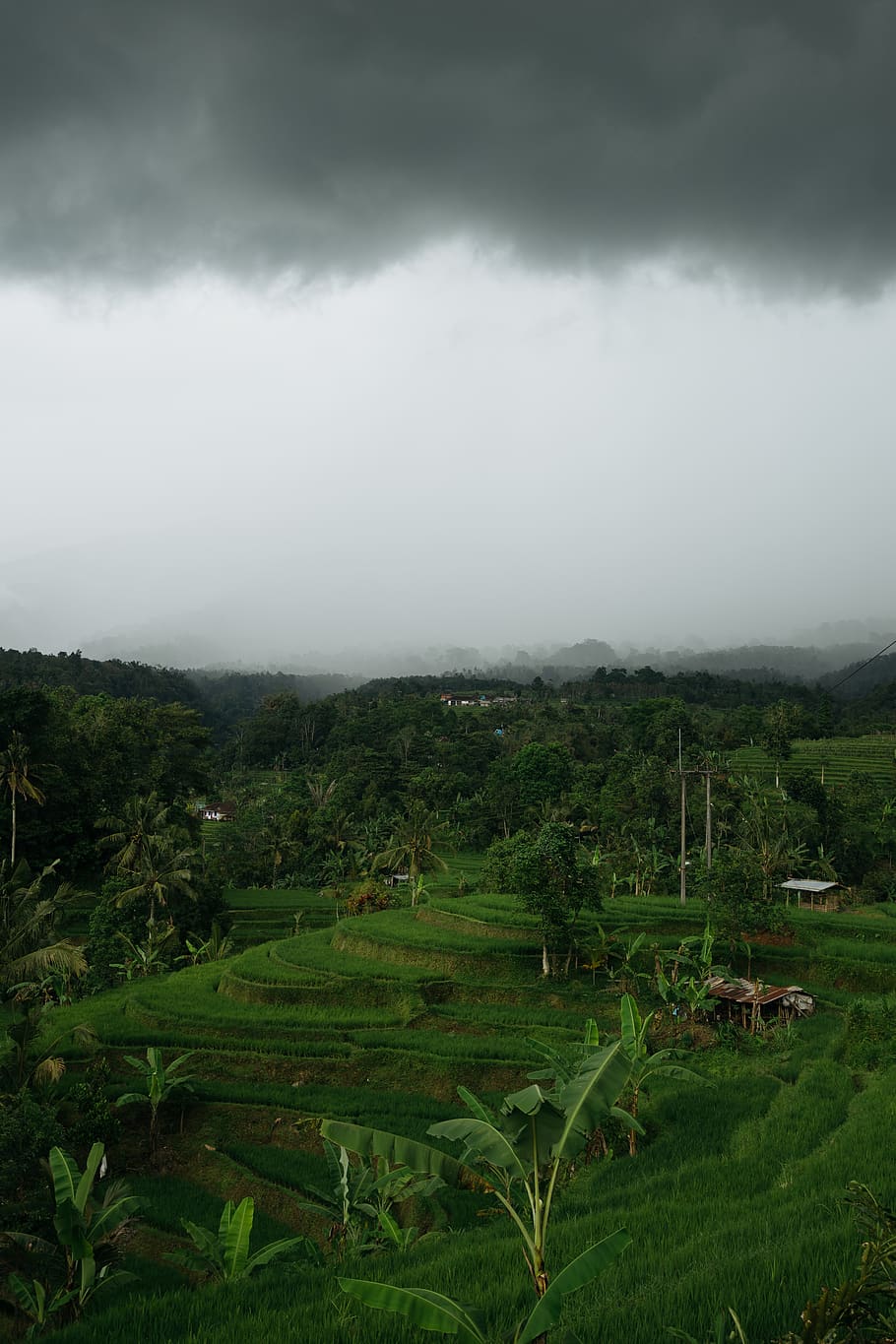 clouds, forest, fog, grey, dark, bali, balinese, indonesia HD wallpaper