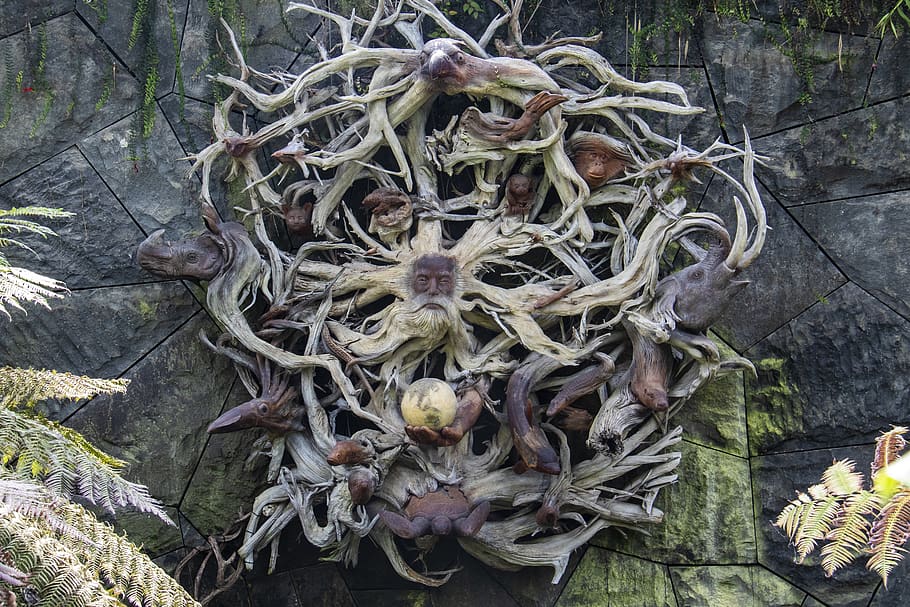 dried root crops, plant, growth, day, nature, plant part, no people HD wallpaper