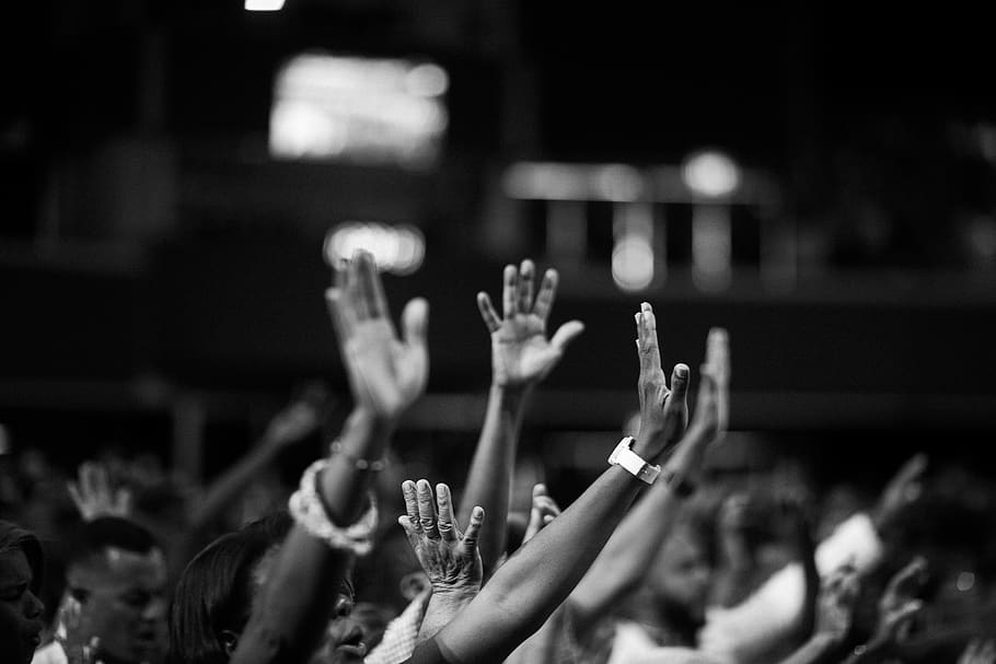 Grayscale Photography of People Raising Hands, audience, black-and-white
