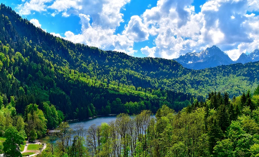 germany, füssen, forest, hill, trees, clouds, sky, lake, scenics - nature HD wallpaper