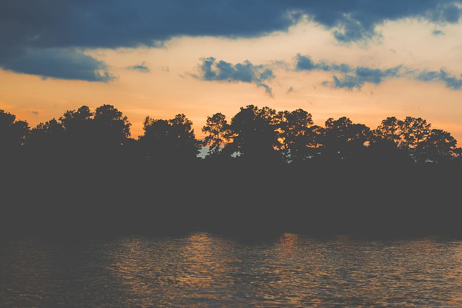 lake, sunset, nature, outdoor, forest, tree, cloud, sky, gold HD wallpaper