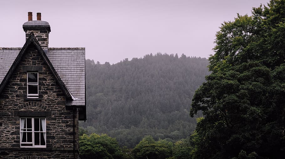 gray concrete building during daytime, tree, plant, architecture HD wallpaper