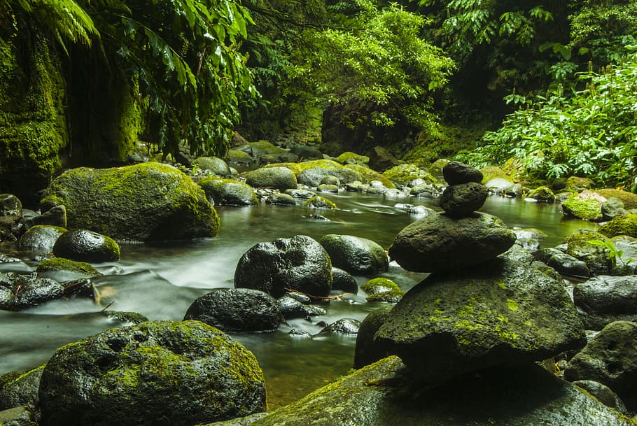 Pile of Rock in River Surrounded by Tree, boulder, cascade, environment, HD wallpaper