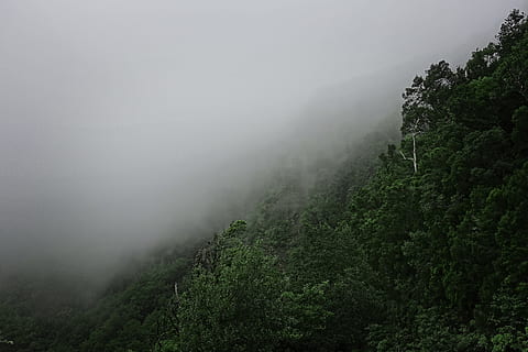 foggy mountain, nature, weather, outdoors, mist, santa cruz de tenerife HD wallpaper