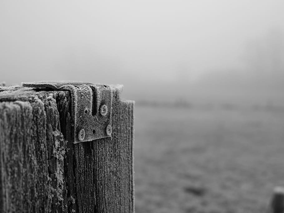 pin, frost, focus on foreground, wood - material, no people HD wallpaper