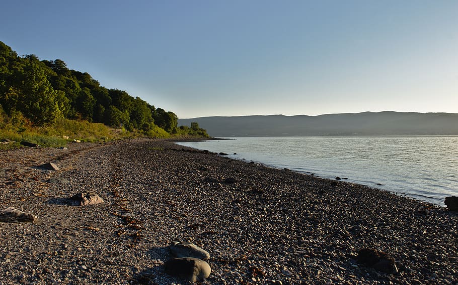river, water, beach, trees, summer, clear, sky, sea, scenics - nature HD wallpaper