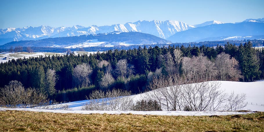 winter, snow, tree, landscape, cold, nature, wintry, snow landscape HD wallpaper