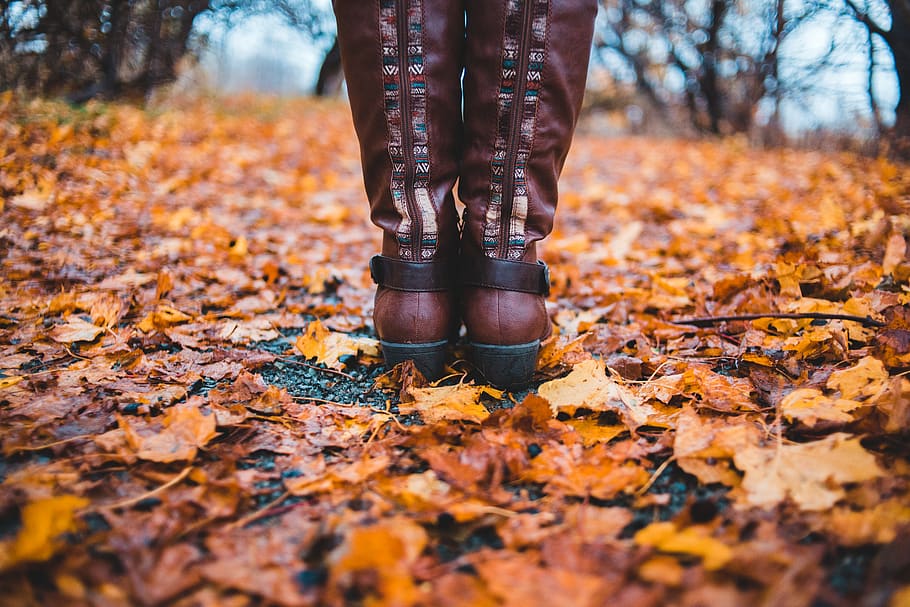 brown leather boots, apparel, clothing, leaf, plant, footwear HD wallpaper