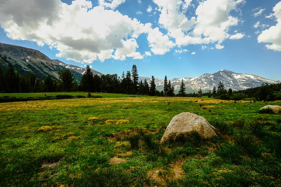 yosemite national park, united states, alpine, mountains, tuolumne meadows, HD wallpaper
