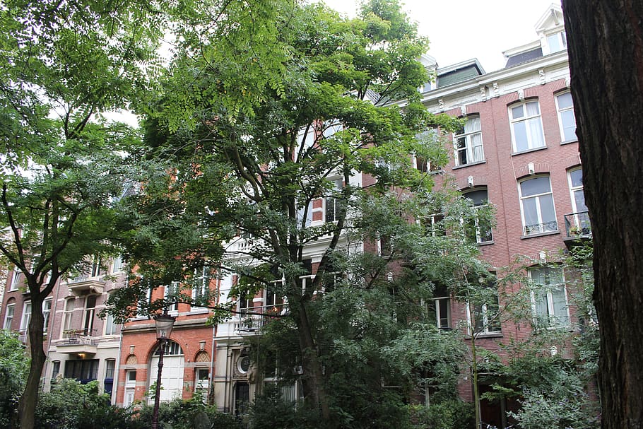 amsterdam, netherlands, house, flat, flats, view, city, tree HD wallpaper