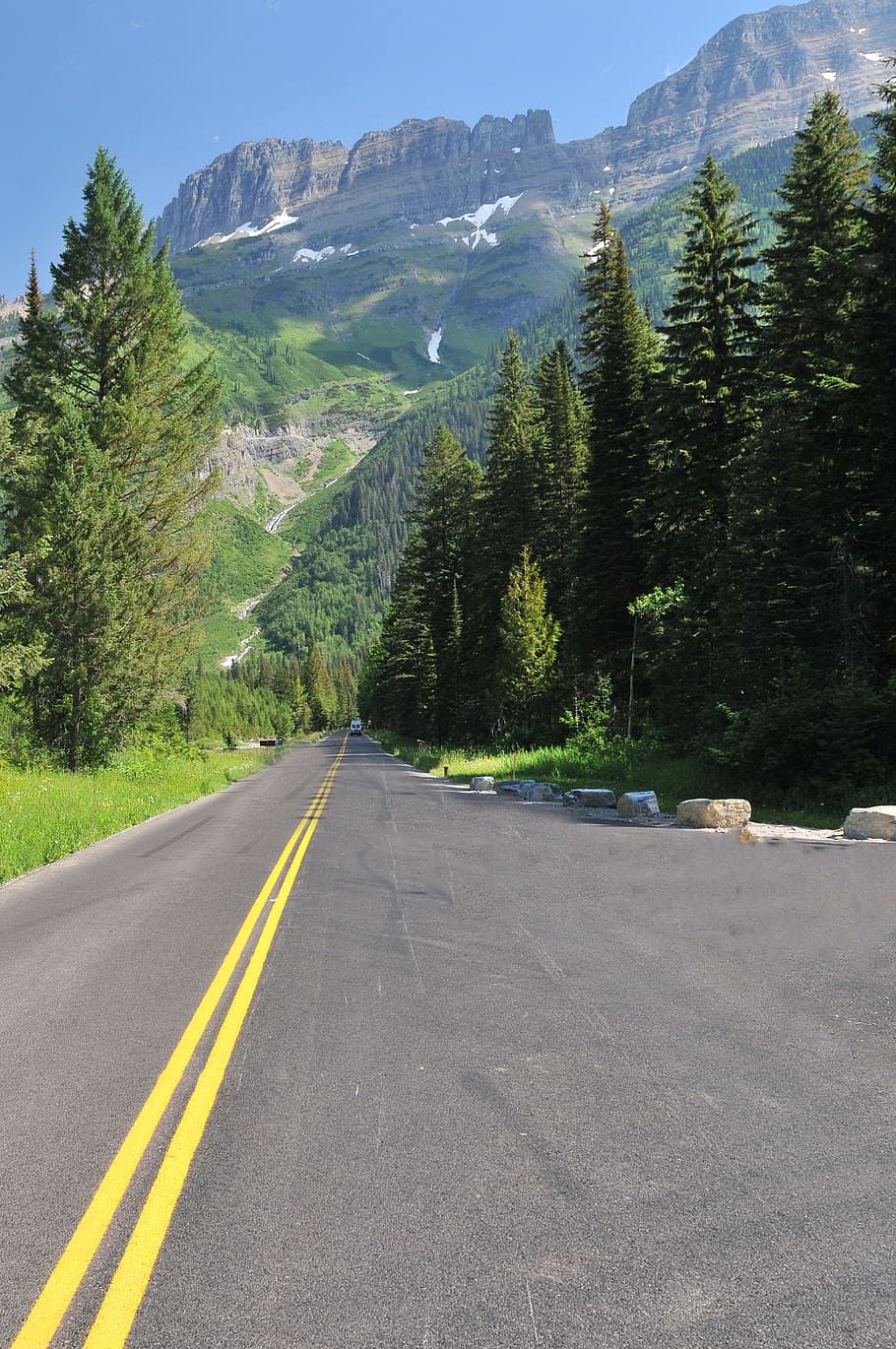Photo of a Road Surrounded by Trees, asphalt, daylight, empty HD wallpaper