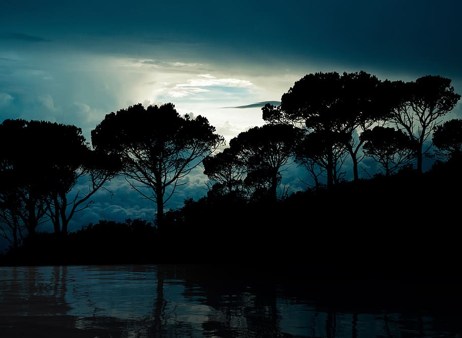 trees, clouds, reflection, landscape, nature, sky, outdoors HD wallpaper