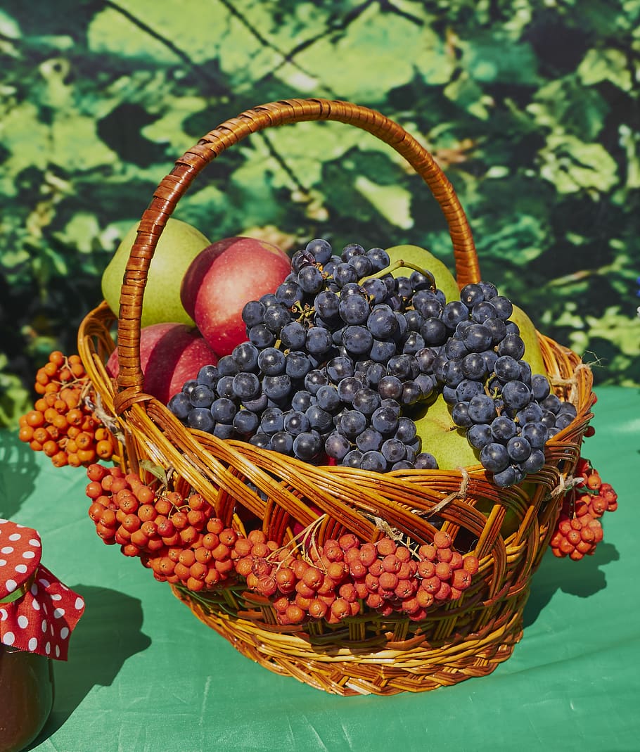 grapes, rowan, apples, fruit, basket, harvest, autumn, colorful, HD wallpaper