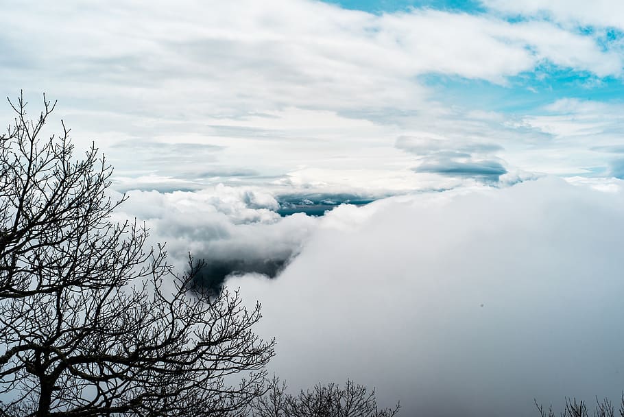 tree beside cloudy sky, cloud - sky, beauty in nature, scenics - nature HD wallpaper