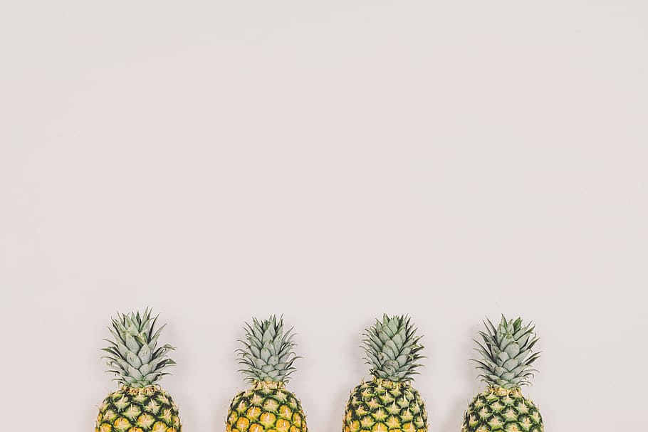 studio shot, copy space, plant, white background, no people HD wallpaper