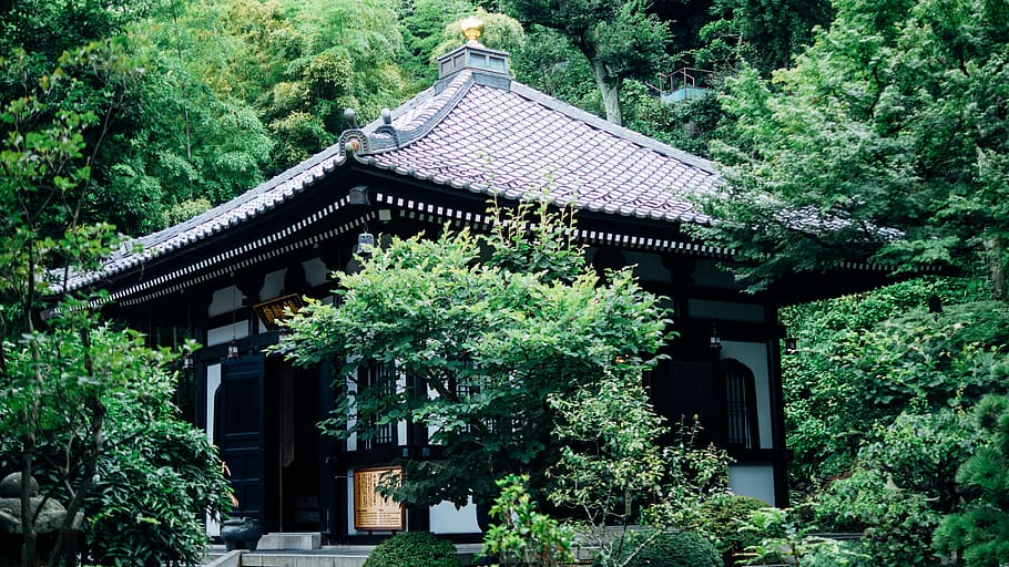 japan, kamakura, built structure, architecture, plant, tree HD wallpaper
