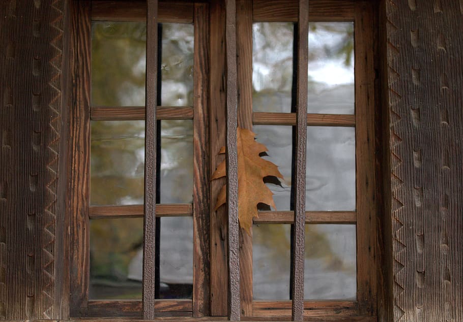 window, leaf, traditional, autumn, melancholy, indoors, no people HD wallpaper