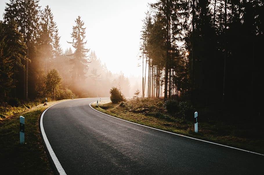 empty raod, road, tree, sunset, sunrise, forest, woodland, outdoors HD wallpaper