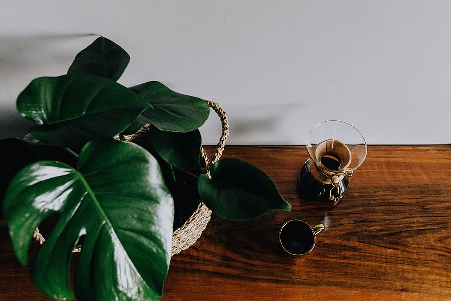Chemex Coffee Maker with Gold Cup, morning, break, cafe, mug HD wallpaper