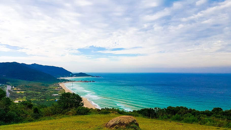 beach, ocean, water, blue, green, grass, field, rock, tree HD wallpaper